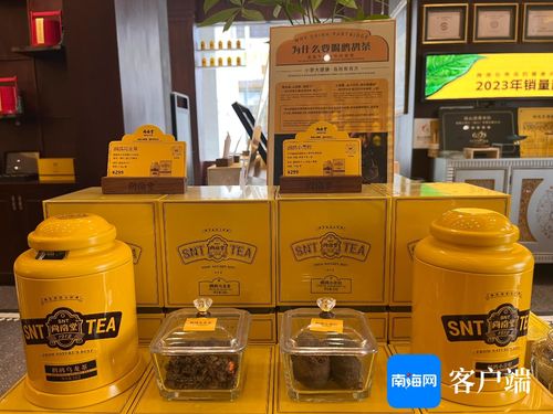 AI赋能旅游商品蝶变 从“新”出发，用金嗓音讲述海南故事